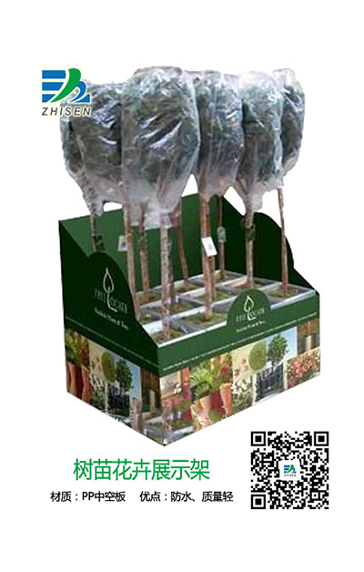 樹(shù)苗花卉展示包裝